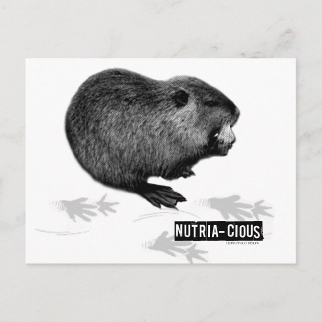 Nutrious Nutria Postcard Vykort (Framsida)