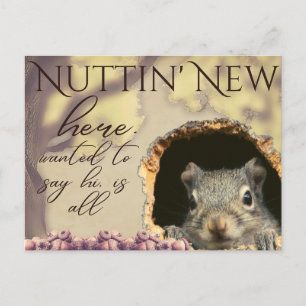 Nuttin'New Squirrel Vintage-Stil vykort