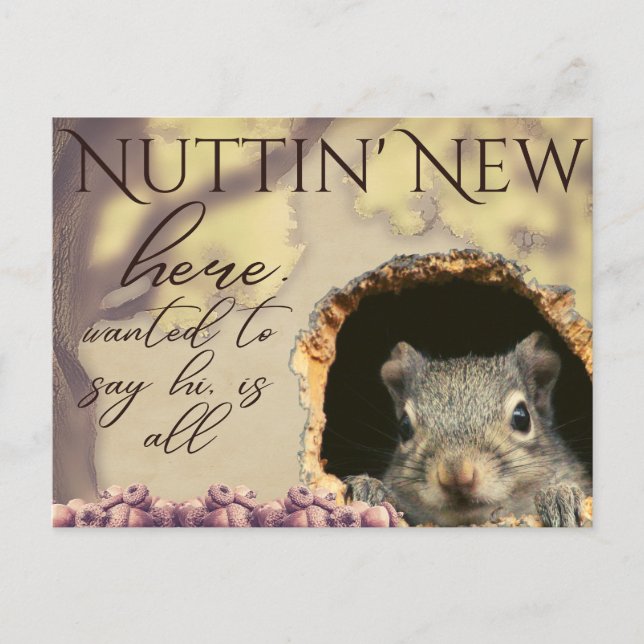 Nuttin'New Squirrel Vintage-Stil vykort (Framsida)