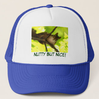 Nutty, men Nice-Truckerkeps Keps