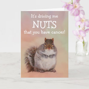 Nutty Squirrel Cancer Support Kort