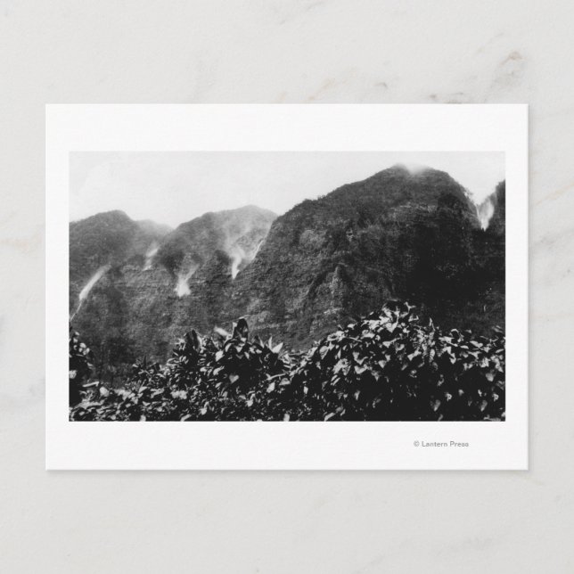 Nuuanu Valley, Hawaii - View Upside Down Fall Vykort (Framsida)