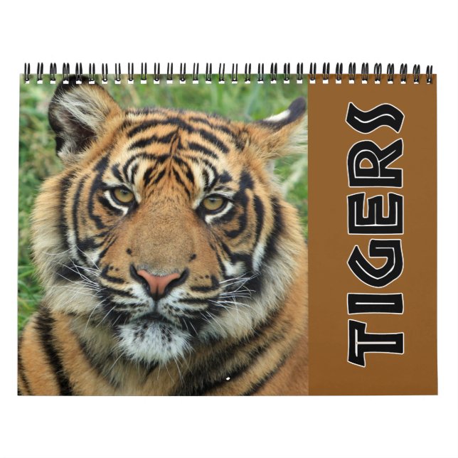 Nuvarande vild tiger kalender (Omslag)