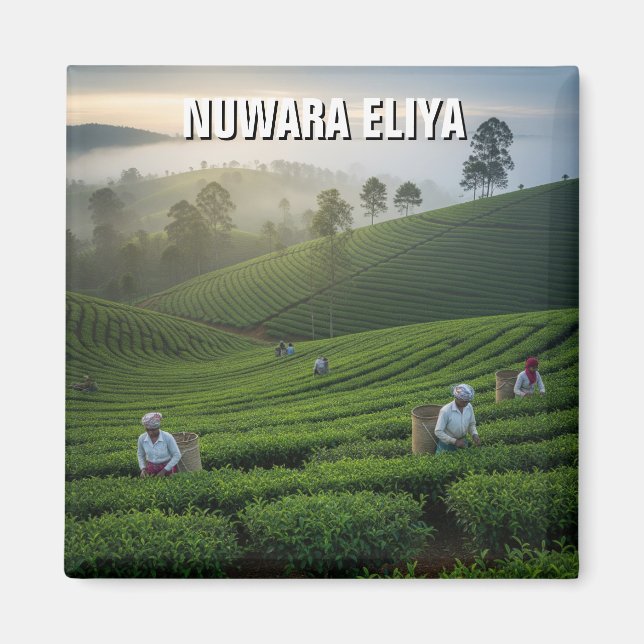 Nuwara Eliya Tea Plantation Sri Lanka Magnet (Framsidan)