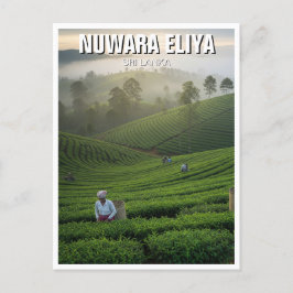 Nuwara Eliya Tea Plantation Sri Lanka Vykort
