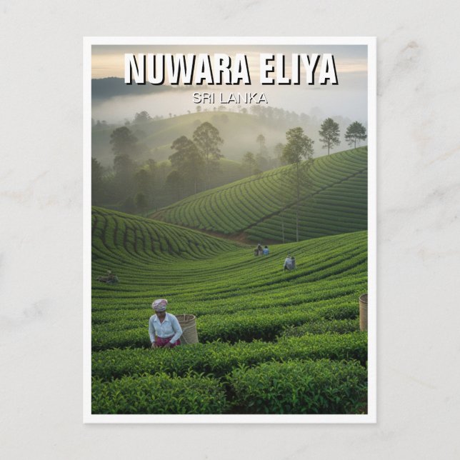 Nuwara Eliya Tea Plantation Sri Lanka Vykort (Framsida)