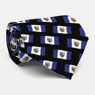 NWT Souvenir Ties NWT Flagga Neckties & Gifts
