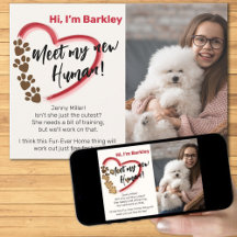 Ny adoption av husdjur