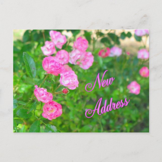 Ny adress meddelande vykort (Framsida)