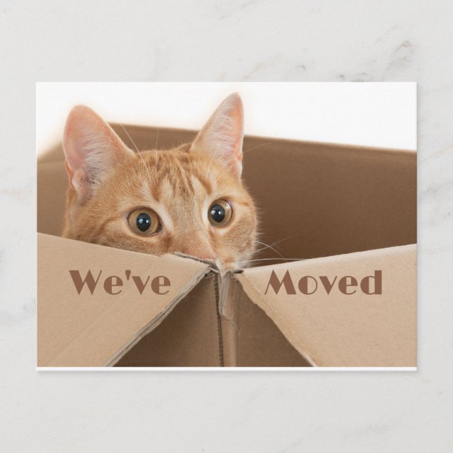 Ny adress påminnelse om roligt, nytt vykort för he (Framsida)