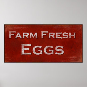 Ny äggaffisch för lantgård poster