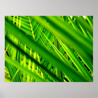 (Ny ankomst) Poster Skriv ut