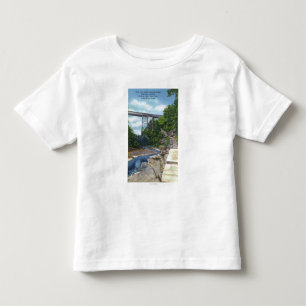NY-centralen RR överbryggar, Jacob stege Tee Shirt