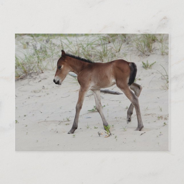 Ny dag vykort (Framsida)