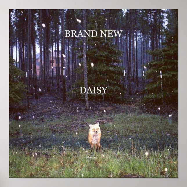 Ny Daisy för varumärke Poster (Framsidan)