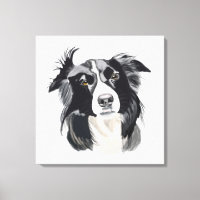 Ny design för Black and White Gräns Collie