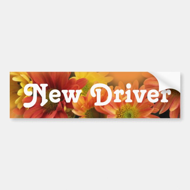 Ny drivrutin Färgämnen i daisy Bildekal (Framsidan)