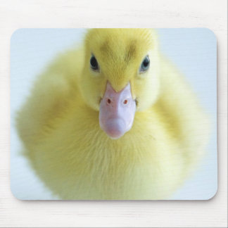 Ny Duckling Musmatta