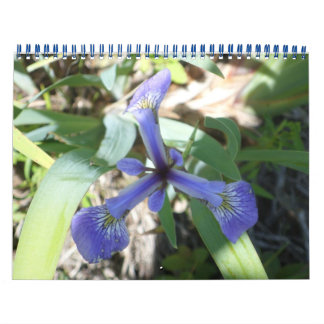 NY genom foton Kalender