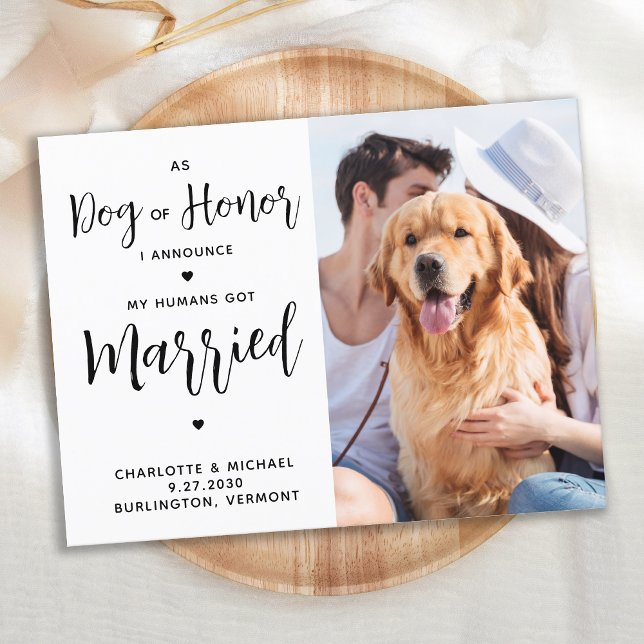 Ny gifta Hund i Honor Hund Bröllop Meddelande Vykort (Skapare uppladdad)
