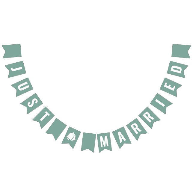 Ny gifta Sage Grönt Boho Bunting Flaggor (Alla)