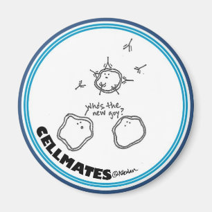 Ny grabbmagnet magnet