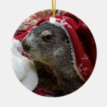 NY! Groundhog Carrie jul Ornamant 2