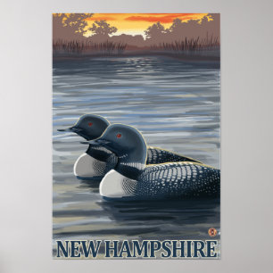 Ny HampshireCommon Loon Poster