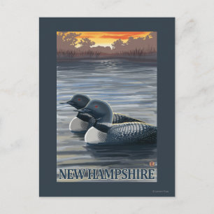 Ny HampshireCommon Loon Vykort