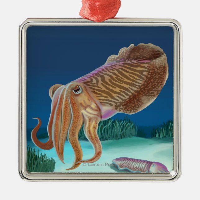 Ny HampshireCuttlefish plats Julgransprydnad Metall (Framsidan)