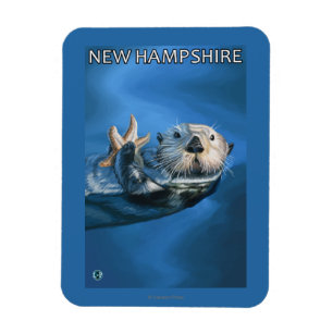 Ny HampshireSea utterplats Magnet