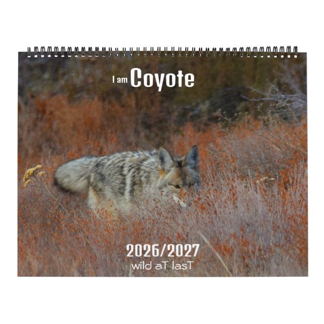 Ny! 'Jag är Coyote' 2026/2027 kalender (Omslag)
