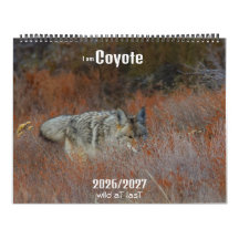 Ny! 'Jag är Coyote' 2026/2027 kalender