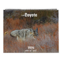 Ny! 'Jag är Coyote' 2026 kalender