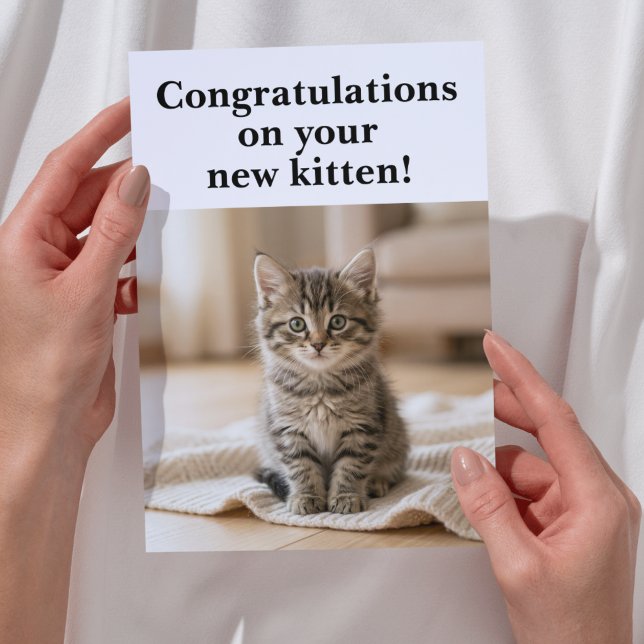 Ny kattunge Grattis Söt sentimental Kort (Congratulations on your new kitten greeting card)