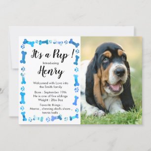 Ny marionett - ny sällskapsdjur - Blue Boy Hund Bi Meddelande