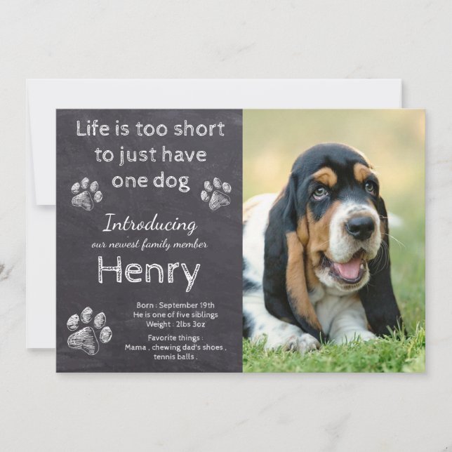 Ny marionett - Rustic Pet Hund Photo Chalkboard Pu Meddelande (Framsida)