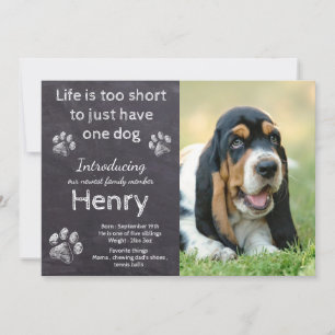 Ny marionett - Rustic Pet Hund Photo Chalkboard Pu Meddelande