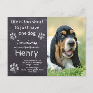 Ny marionett - Rustic Pet Hund Photo Chalkboard Pu Meddelande Vykort