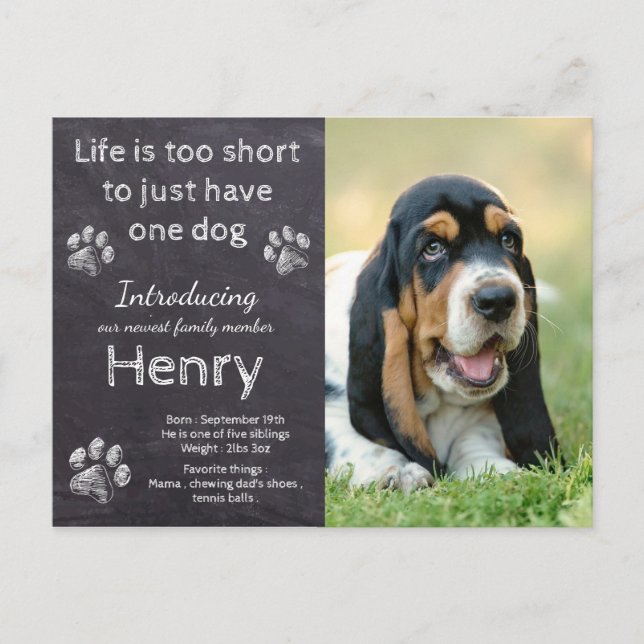 Ny marionett - Rustic Pet Hund Photo Chalkboard Pu Meddelande Vykort (Framsida)