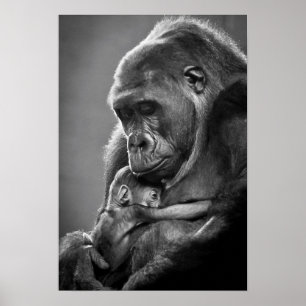 Ny morgorilla poster