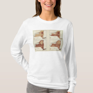NY-nederbörd, befolkning, höjd, temperatur T Shirt