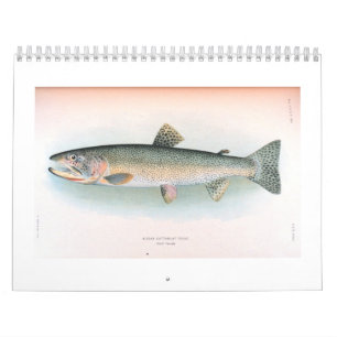 Ny och Saltwaterfiskkalender Kalender