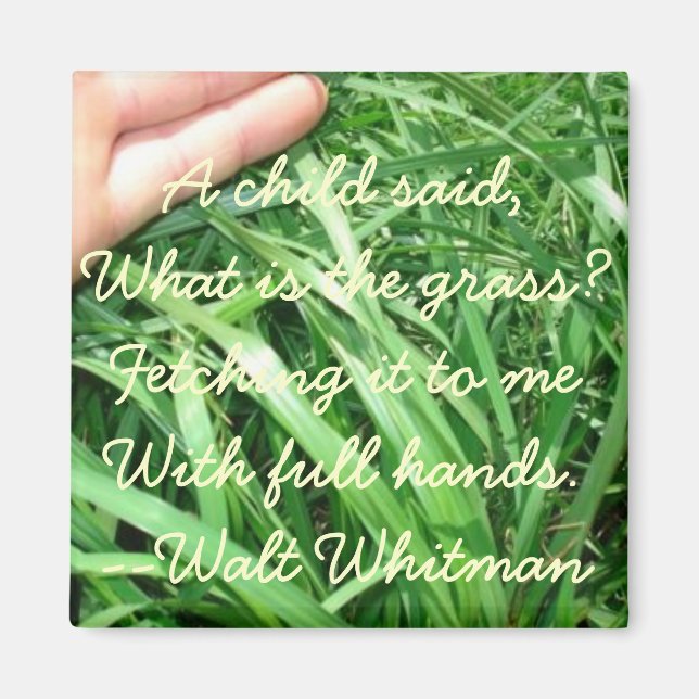 Ny överordnad Magnet Set 5 av 5 (förbättrad) (Framsidan)