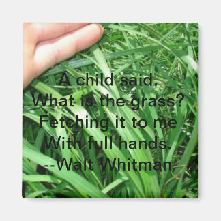 Ny överordnad Magnet-uppsättning 5 av 5 Magnet