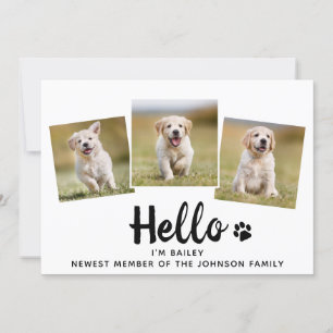 Ny Pet Photo Collage Hej Puppy Hund Meddelande