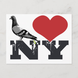 NY Pigeon Vykort