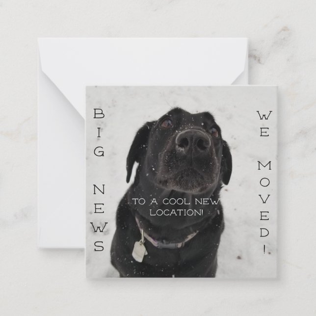 Ny plats för coolan! vykort (Framsida)