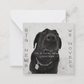 Ny plats för coolan! vykort