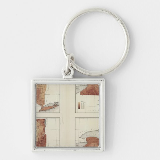 NY regn, befolkning, förhöjning, temperatur Fyrkantig Silverfärgad Nyckelring (Framsidan)